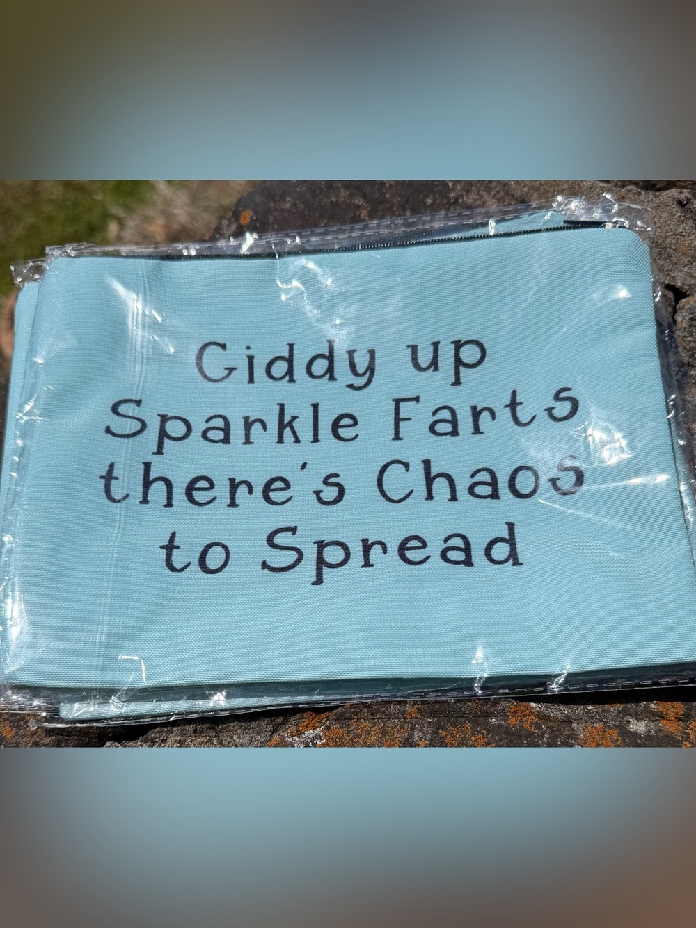 “Giddy Up” Make Up Bag ~ NEW!
